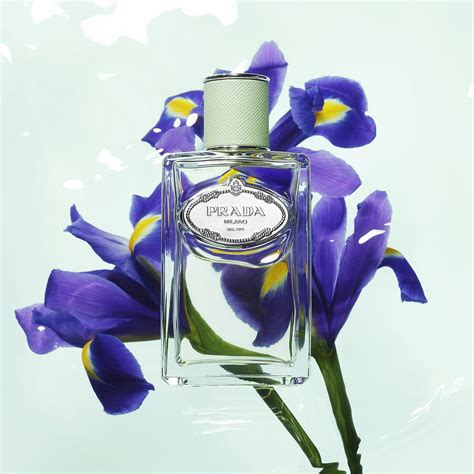 perfume iris from prada fort lauderdale|Prada iris iris.